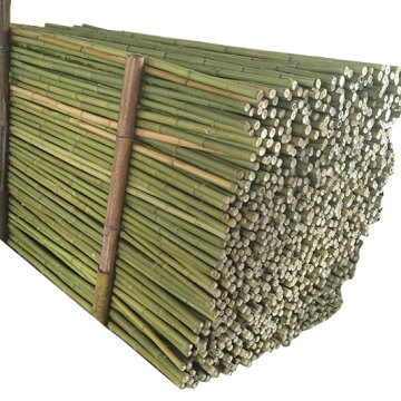 Wholesale Eco-friendly Support Plant Growing Natural Raw Moso Artificial Bamboo Poles